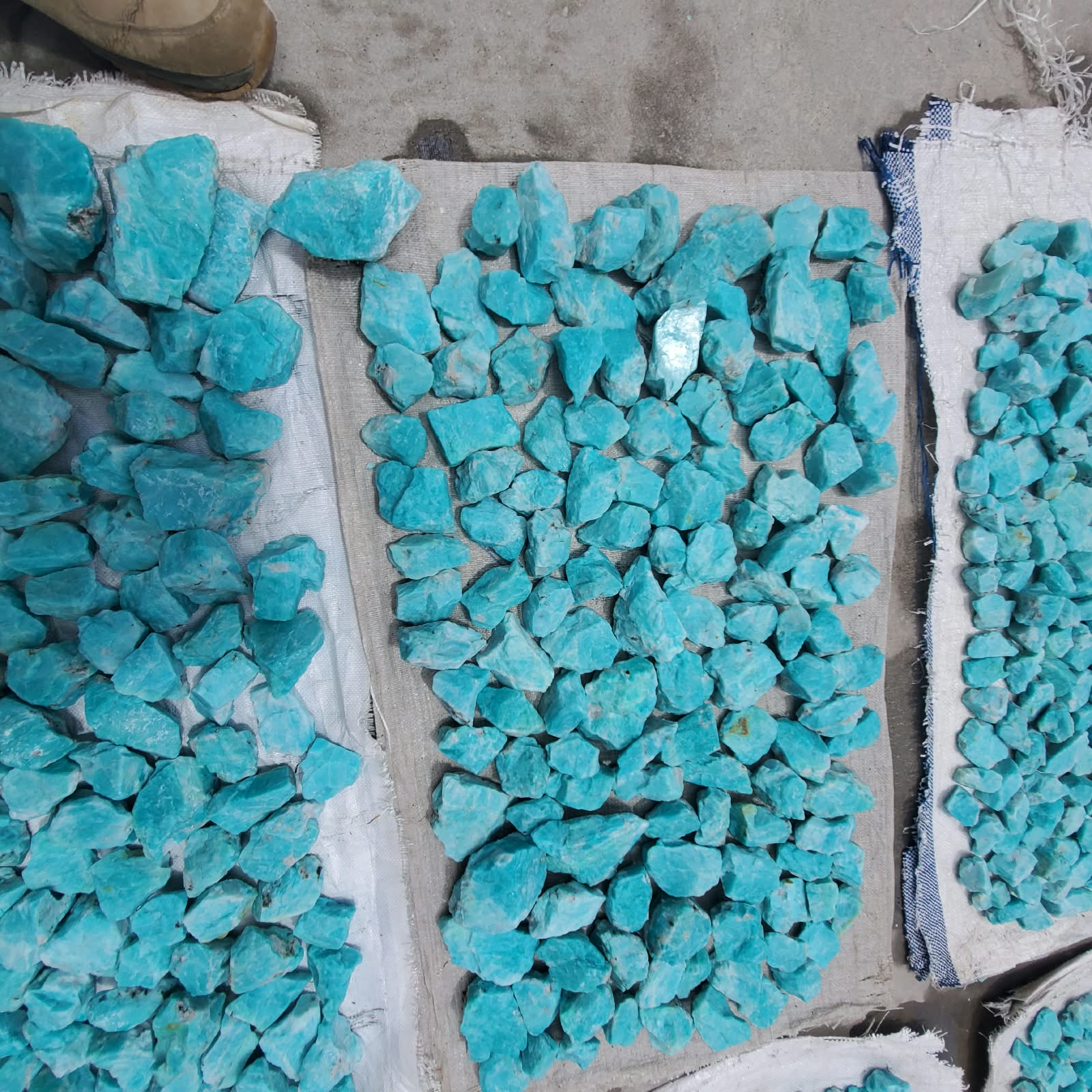 Natural rough amazonite arranged in groups to show variation in size and form